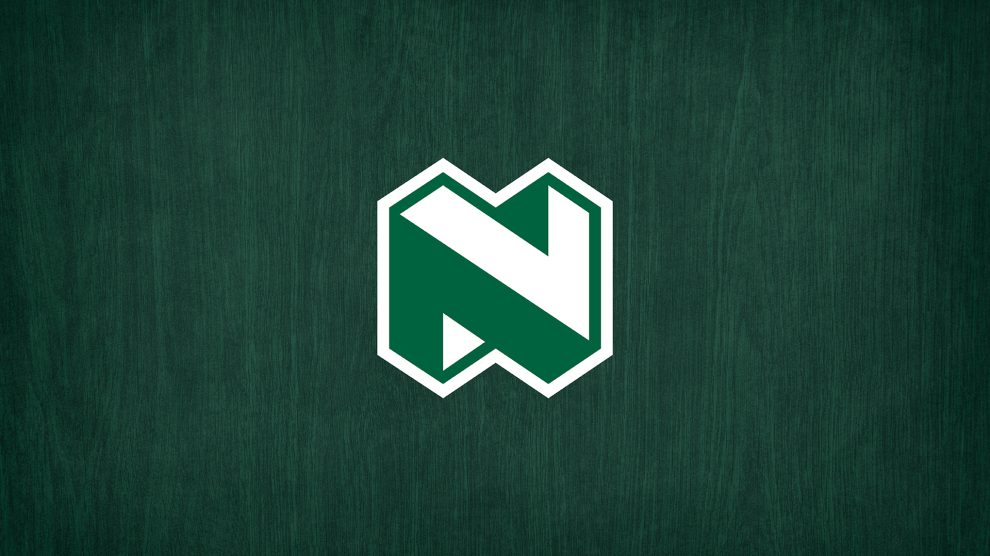 Nedbank Goodwills